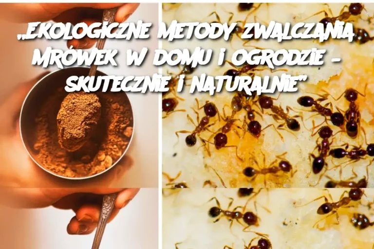 „Ekologiczne metody zwalczania mrówek w domu i ogrodzie – skutecznie i naturalnie”