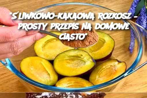 "Śliwkowo-kakaowa rozkosz – prosty przepis na domowe ciasto"