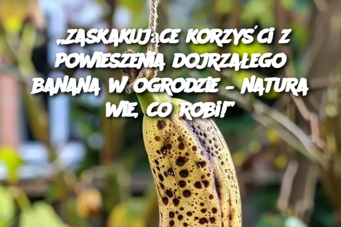 „Zaskakujące korzyści z powieszenia dojrzałego banana w ogrodzie – natura wie, co robi!”