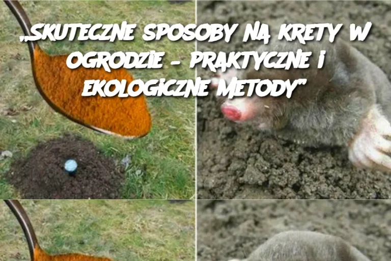 „Skuteczne sposoby na krety w ogrodzie – praktyczne i ekologiczne metody”