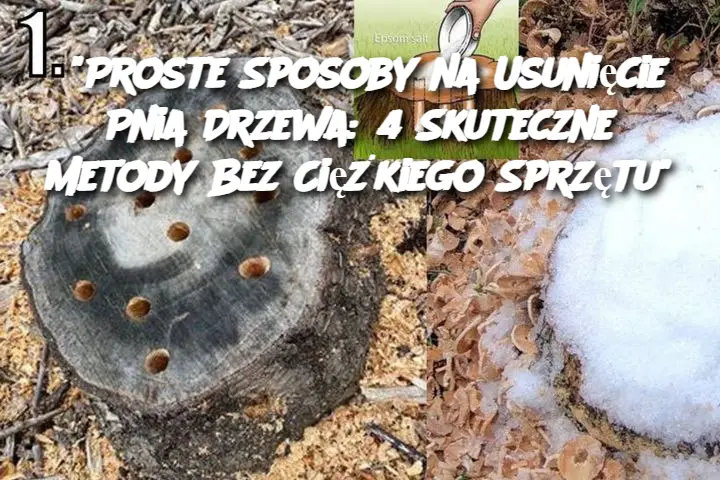 "Proste Sposoby na Usunięcie Pnia Drzewa: 4 Skuteczne Metody Bez Ciężkiego Sprzętu"