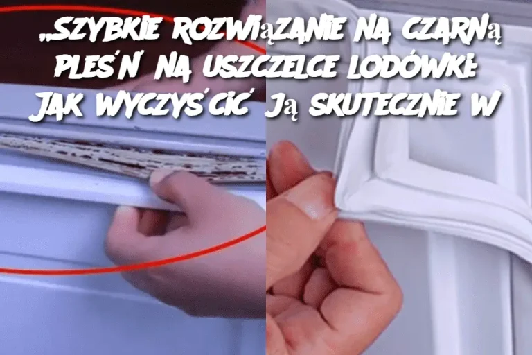 „Szybkie rozwiązanie na czarną pleśń na uszczelce lodówki: Jak wyczyścić ją skutecznie w