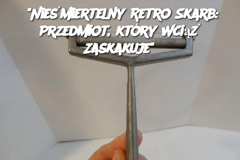 "Nieśmiertelny Retro Skarb: Przedmiot, który Wciąż Zaskakuje"