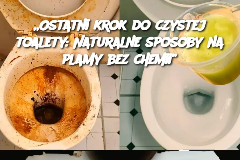 „Ostatni krok do czystej toalety: Naturalne sposoby na plamy bez chemii”