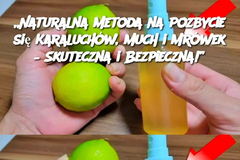 „Naturalna Metoda na Pozbycie się Karaluchów, Much i Mrówek – Skuteczna i Bezpieczna!”„Naturalna Metoda na Pozbycie się Karaluchów, Much i Mrówek – Skuteczna i Bezpieczna!”