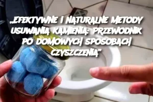 „Efektywne i naturalne metody usuwania kamienia: Przewodnik po domowych sposobach czyszczenia”