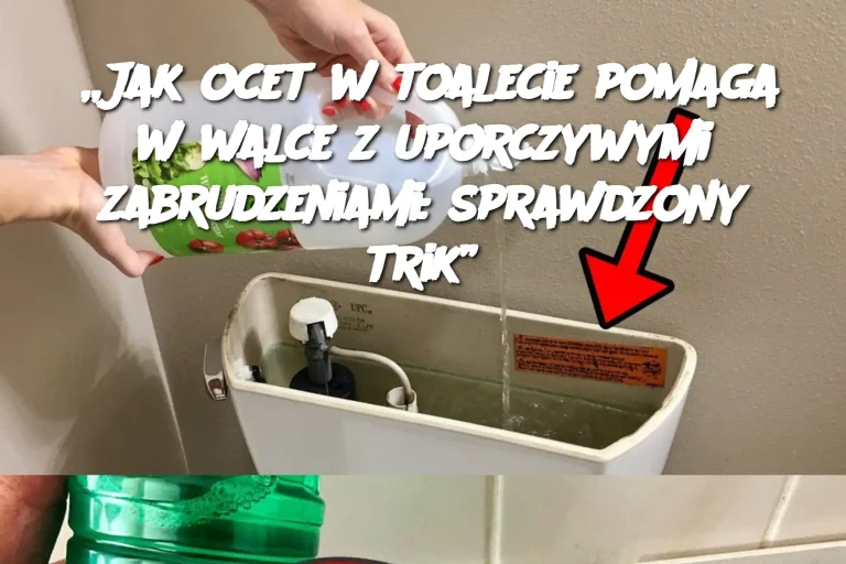 „Jak ocet w toalecie pomaga w walce z uporczywymi zabrudzeniami: sprawdzony trik”