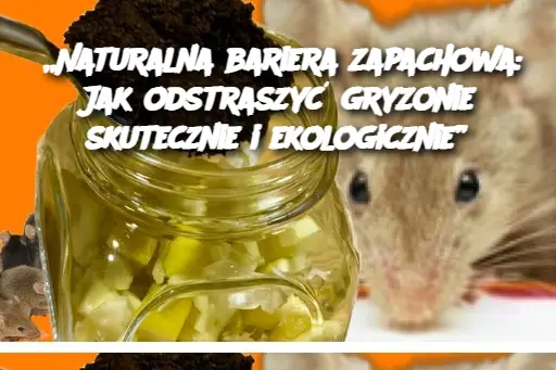 „Naturalna bariera zapachowa: Jak odstraszyć gryzonie skutecznie i ekologicznie”