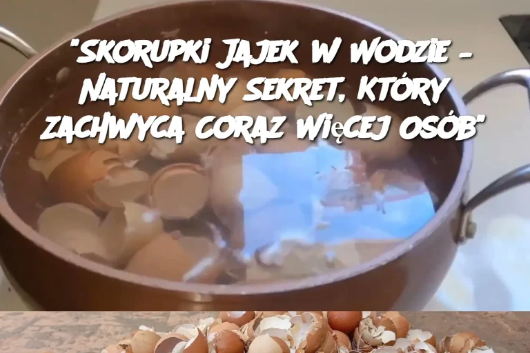 "Skorupki Jajek w Wodzie – Naturalny Sekret, Który Zachwyca Coraz Więcej Osób"