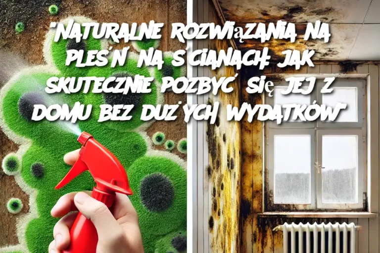 "Naturalne rozwiązania na pleśń na ścianach: jak skutecznie pozbyć się jej z domu bez dużych wydatków"