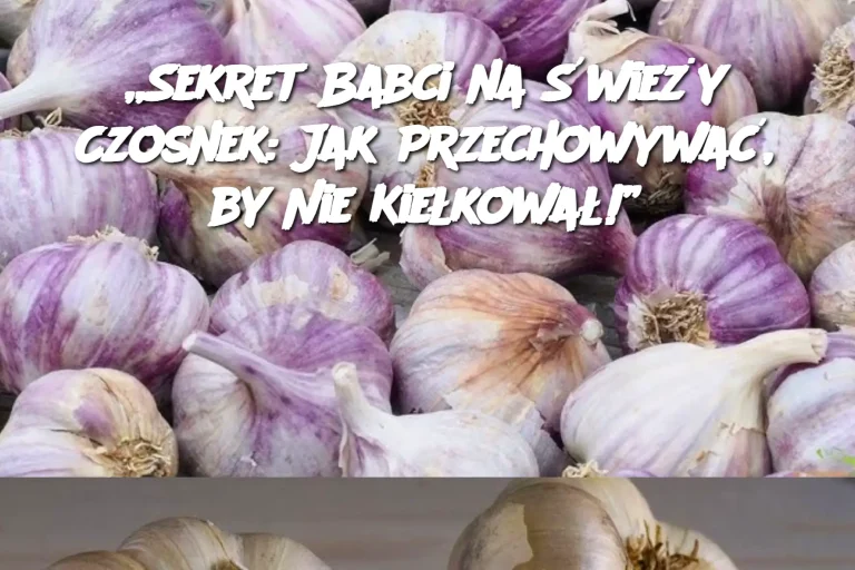 „Sekret Babci na Świeży Czosnek: Jak Przechowywać, by Nie Kiełkował!”