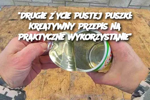 "Drugie Życie Pustej Puszki: Kreatywny Przepis na Praktyczne Wykorzystanie"