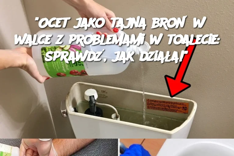 "Ocet jako tajna broń w walce z problemami w toalecie: sprawdź, jak działa!"