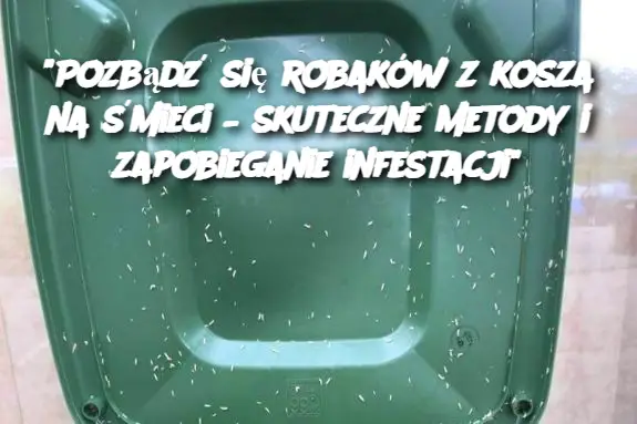 "Pozbądź się robaków z kosza na śmieci – skuteczne metody i zapobieganie infestacji"