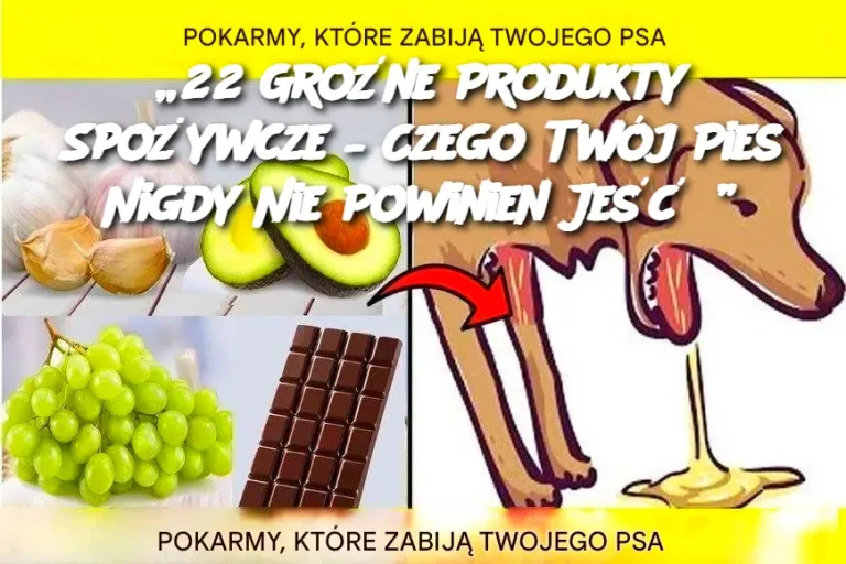 „22 Groźne Produkty Spożywcze – Czego Twój Pies Nigdy Nie Powinien Jeść?”