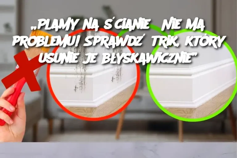 „Plamy na ścianie? Nie ma problemu! Sprawdź trik, który usunie je błyskawicznie”