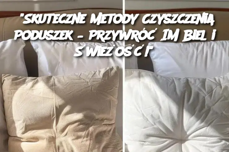 "Skuteczne Metody Czyszczenia Poduszek – Przywróć Im Biel i Świeżość!"