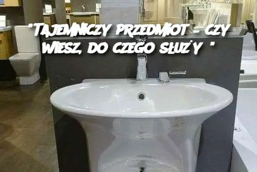 "Tajemniczy przedmiot – czy wiesz, do czego służy?"