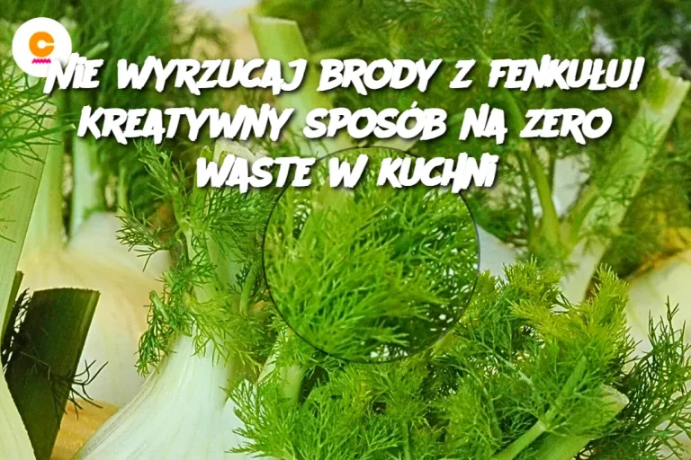 Nie wyrzucaj brody z fenkułu! Kreatywny sposób na zero waste w kuchni