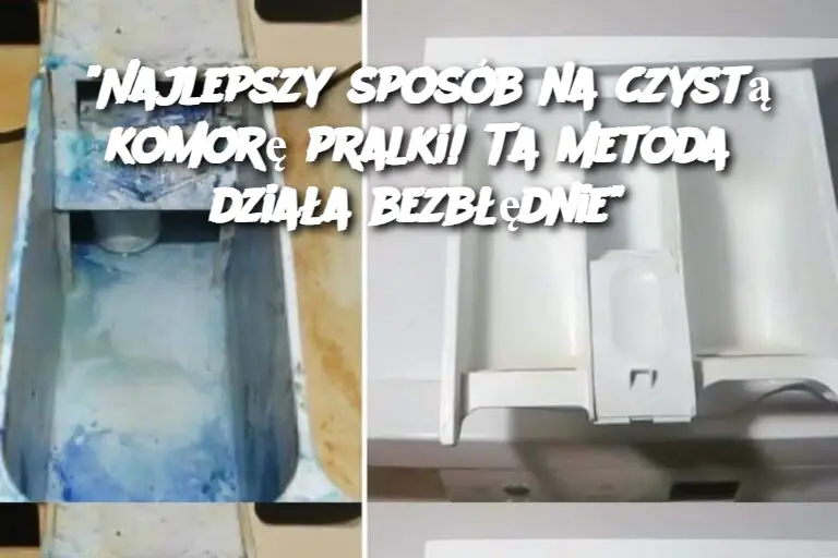 "Najlepszy sposób na czystą komorę pralki! Ta metoda działa bezbłędnie"