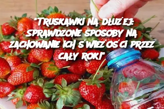 "Truskawki na dłużej: Sprawdzone sposoby na zachowanie ich świeżości przez cały rok!"