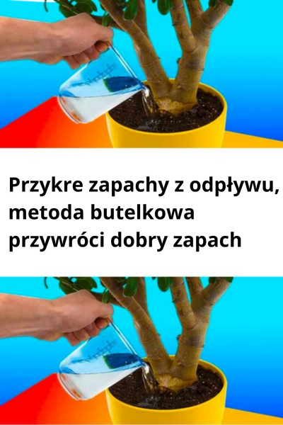 "Naturalny Eliksir dla Roślin: Jak Przygotować Wodę Pełną Witamin dla Bujnego Wzrostu?"