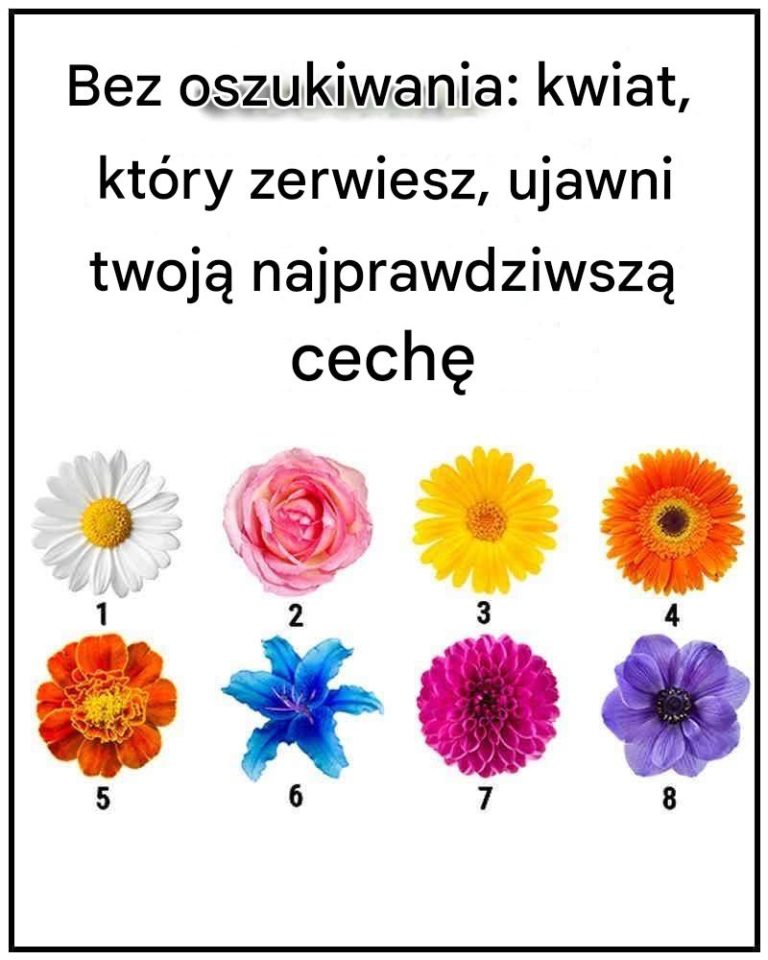 Kwiatowy Test Osobowości: Wybierz, a Odkryjesz Prawdę o Sobie!