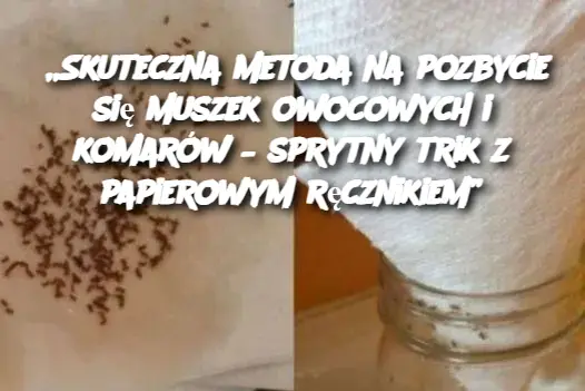 „Skuteczna metoda na pozbycie się muszek owocowych i komarów – sprytny trik z papierowym ręcznikiem”