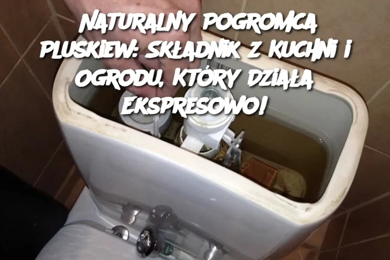 Naturalny Pogromca Pluskiew: Składnik z Kuchni i Ogrodu, Który Działa Ekspresowo!