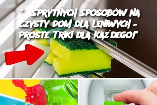 "8 Sprytnych Sposobów na Czysty Dom dla Leniwych – Proste Triki dla Każdego!"