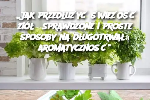 „Jak przedłużyć świeżość ziół? Sprawdzone i proste sposoby na długotrwałą aromatyczność”