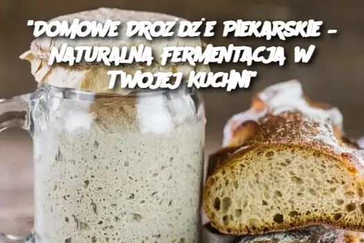 "Domowe Drożdże Piekarskie – Naturalna Fermentacja w Twojej Kuchni"