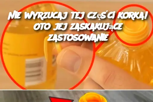 Nie wyrzucaj tej części korka! Oto jej zaskakujące zastosowanie