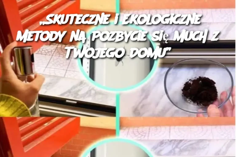 „Skuteczne i Ekologiczne Metody na Pozbycie się Much z Twojego Domu”