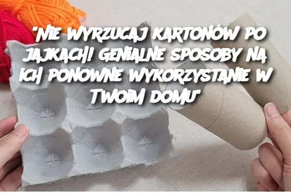 "Nie wyrzucaj kartonów po jajkach! Genialne sposoby na ich ponowne wykorzystanie w Twoim domu"