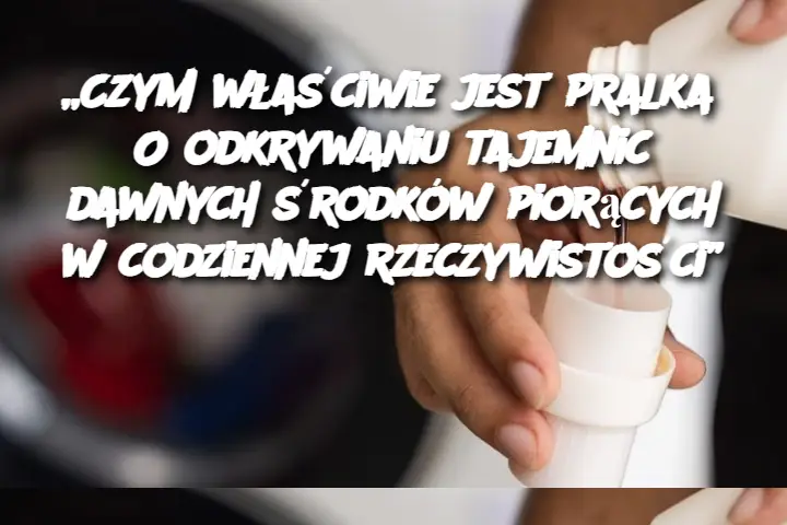 „Czym właściwie jest pralka? O odkrywaniu tajemnic dawnych środków piorących w codziennej rzeczywistości”