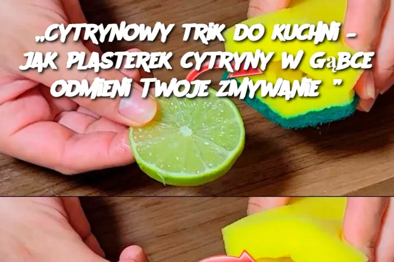 „Cytrynowy trik do kuchni – jak plasterek cytryny w gąbce odmieni Twoje zmywanie?”