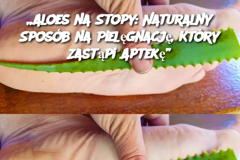 „Aloes na Stopy: Naturalny Sposób na Pielęgnację, Który Zastąpi Aptekę”