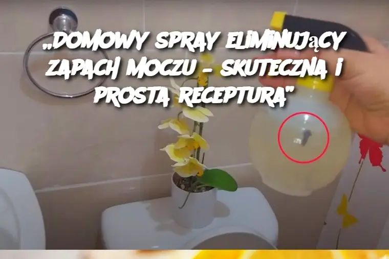 „Domowy spray eliminujący zapach moczu – skuteczna i prosta receptura”