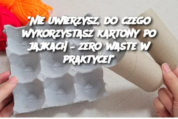 "Nie uwierzysz, do czego wykorzystasz kartony po jajkach – zero waste w praktyce!"