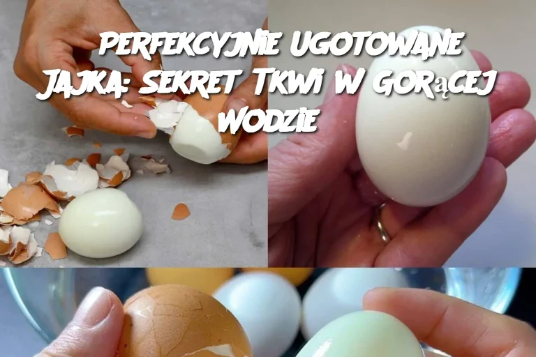 Perfekcyjnie Ugotowane Jajka: Sekret Tkwi w Gorącej Wodzie