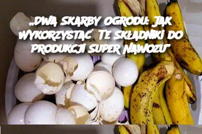 „Dwa Skarby Ogrodu: Jak Wykorzystać Te Składniki do Produkcji Super Nawozu”