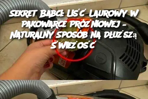 Sekret Babci: Liść Laurowy w Pakowarce Próżniowej – Naturalny Sposób na Dłuższą Świeżość