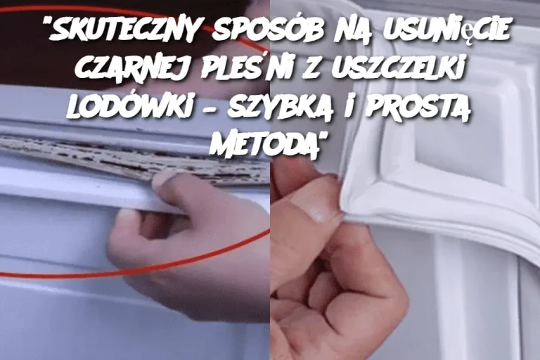 "Skuteczny sposób na usunięcie czarnej pleśni z uszczelki lodówki – szybka i prosta metoda"