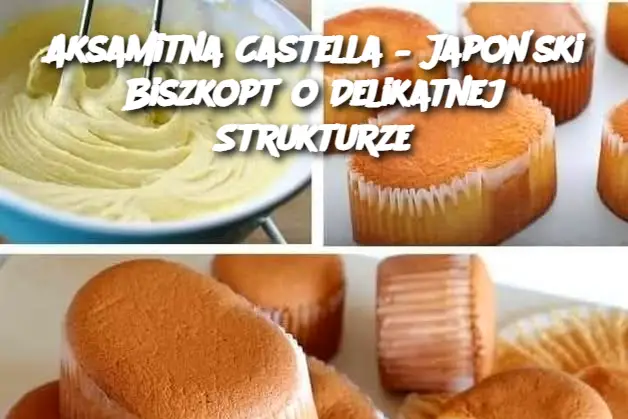 Aksamitna Castella – Japoński Biszkopt o Delikatnej Strukturze