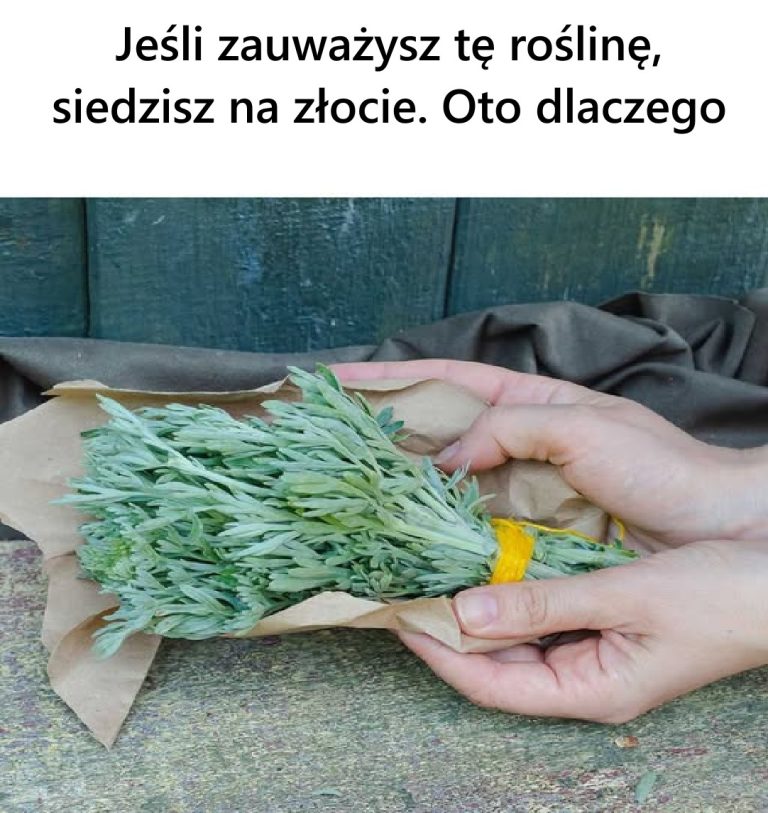 „Złoto w Twoim ogrodzie: Niezwykłe właściwości pokrzywy, których nie doceniasz”