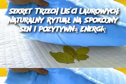 Sekret Trzech Liści Laurowych: Naturalny Rytuał na Spokojny Sen i Pozytywną Energię