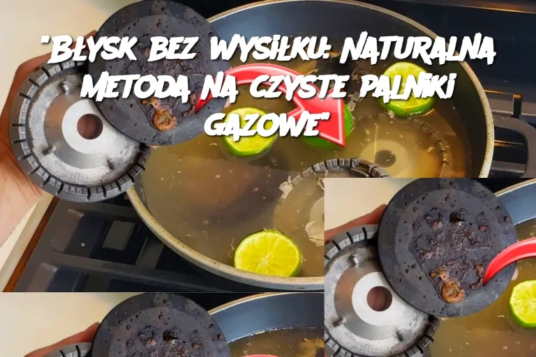 "Błysk bez wysiłku: Naturalna metoda na czyste palniki gazowe"