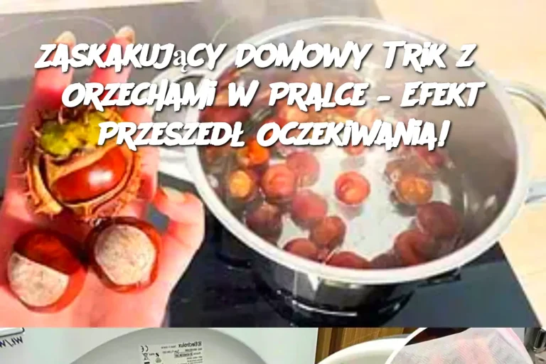Zaskakujący Domowy Trik z 3 Orzechami w Pralce – Efekt Przeszedł Oczekiwania!