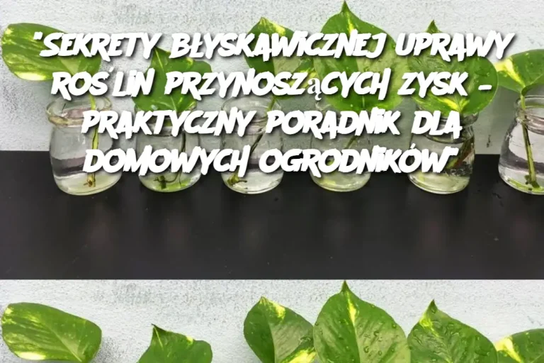 "Sekrety błyskawicznej uprawy roślin przynoszących zysk – praktyczny poradnik dla domowych ogrodników"